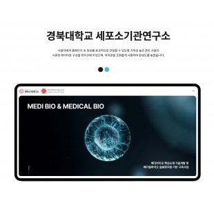 반응형 홈페이지